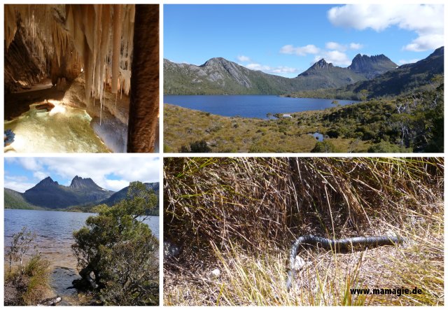 Tasmanien: Marakoopa Cave, Cradle Mountain National Park