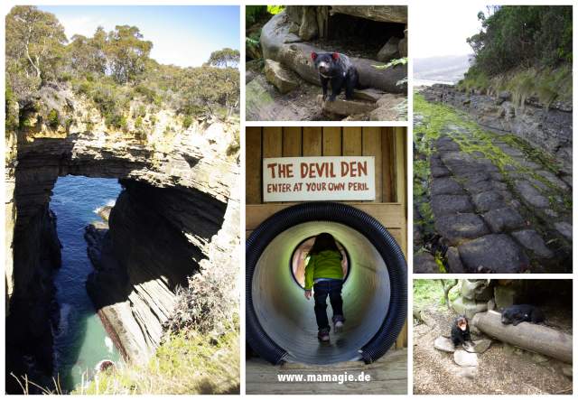 Tasmanien Devil Conservation Camp, Tasman Arch, Tessellated Pavement