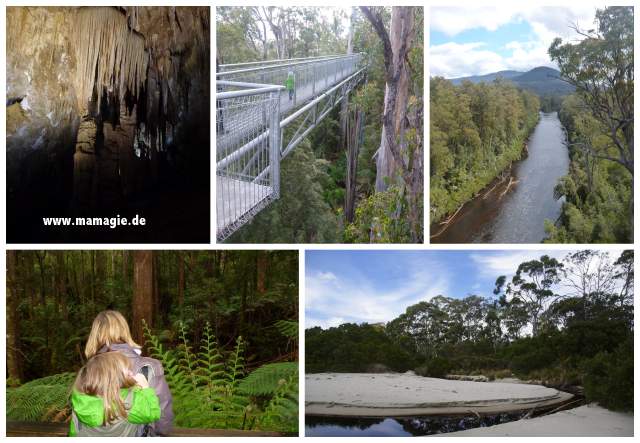Hasting Caves and Thermal Springs, Tahune Airwalk, Tasmanien
