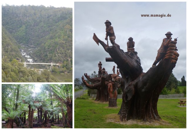 Tasmanien: Weldborough Pass Rainforest Walk, Legerwood Chainsaw Sculptures, Lauceston Cataract Gorge  