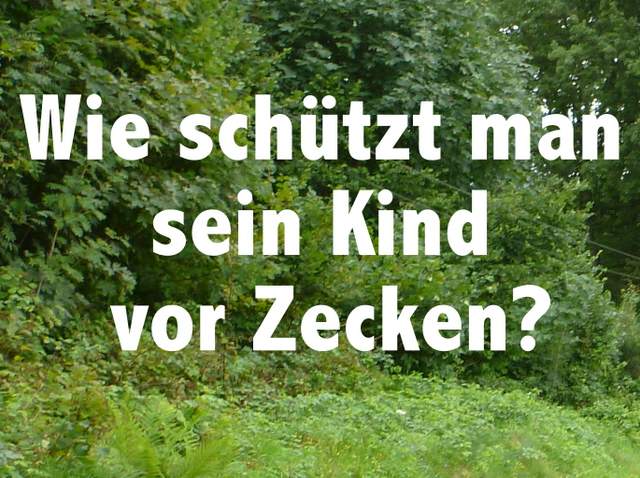 Wie schützt man sich und sein Kind vor Zecken?