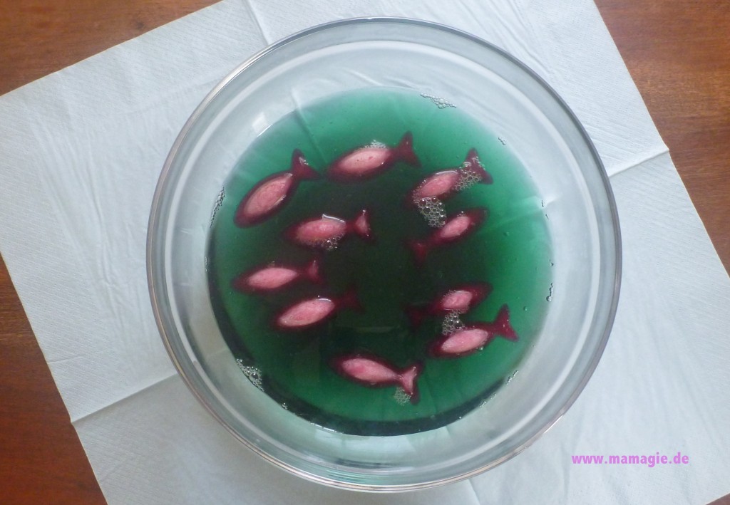 Wackelpudding-Aquarium