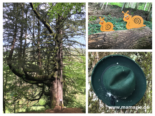 Toller Kinderwanderweg im Schwarzwald