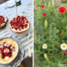 Mittsommer oder Midsommar feiern mit einer schwedischen Erdbeertorte